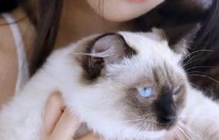 51吃瓜江苏聊城网友：“一定要去安卓找这网址！”