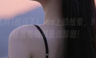 抓住了！ios上的线索，91黑料让我每晚都是追踪剧！