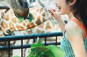 黑料不打烊tttzzz04.su，网页的瓜场不停歇，快来围观吧！